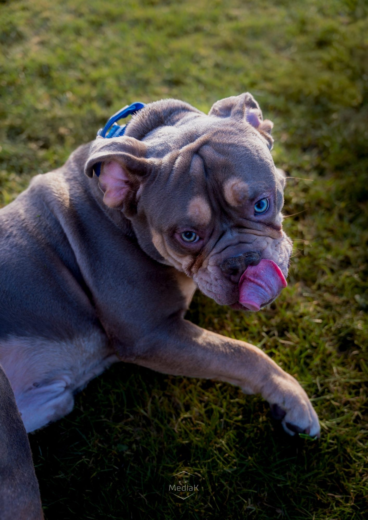 Photo 05-06-2025, 20 09 46 (3)