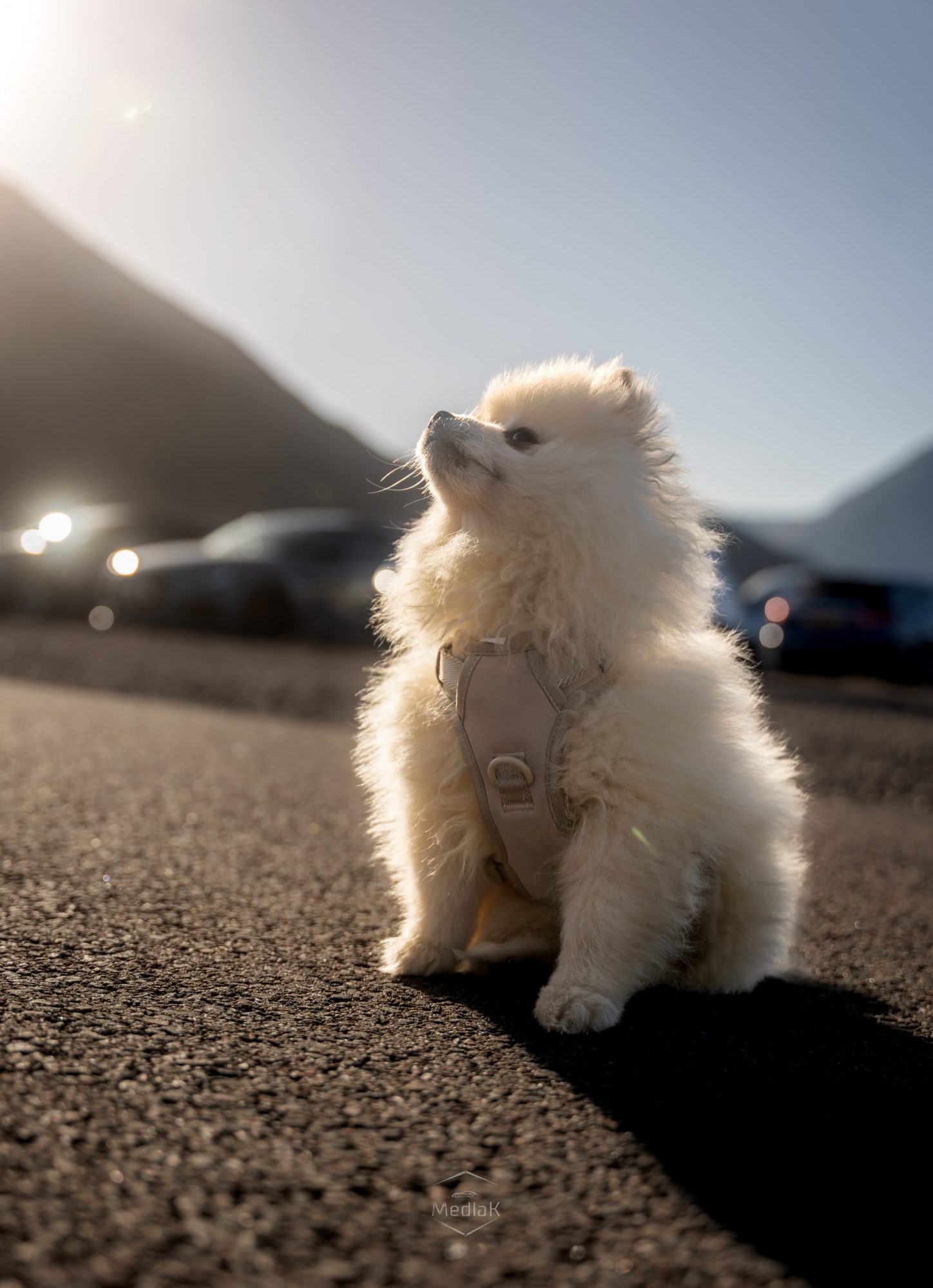 Photo 05-06-2025, 20 09 46