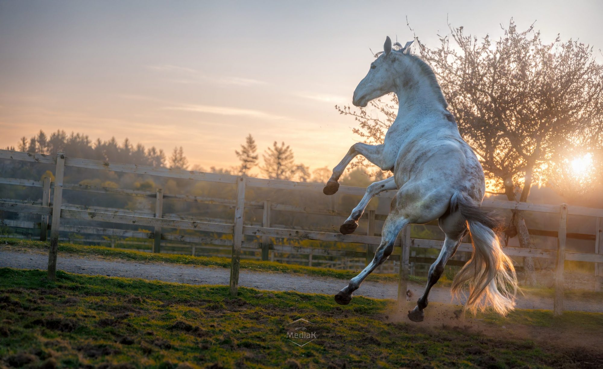 Photo 12-04-2025, 06 39 52