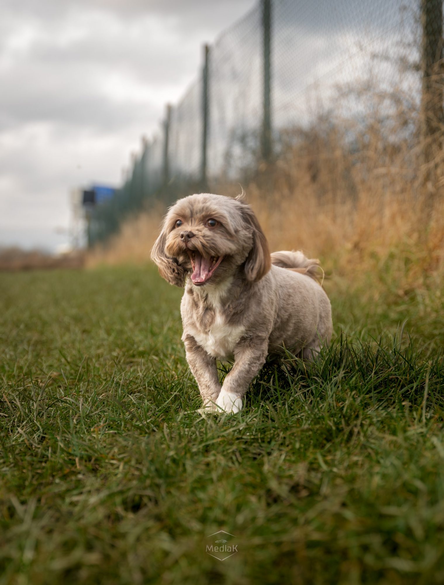 Photo 16-02-2025, 14 04 25