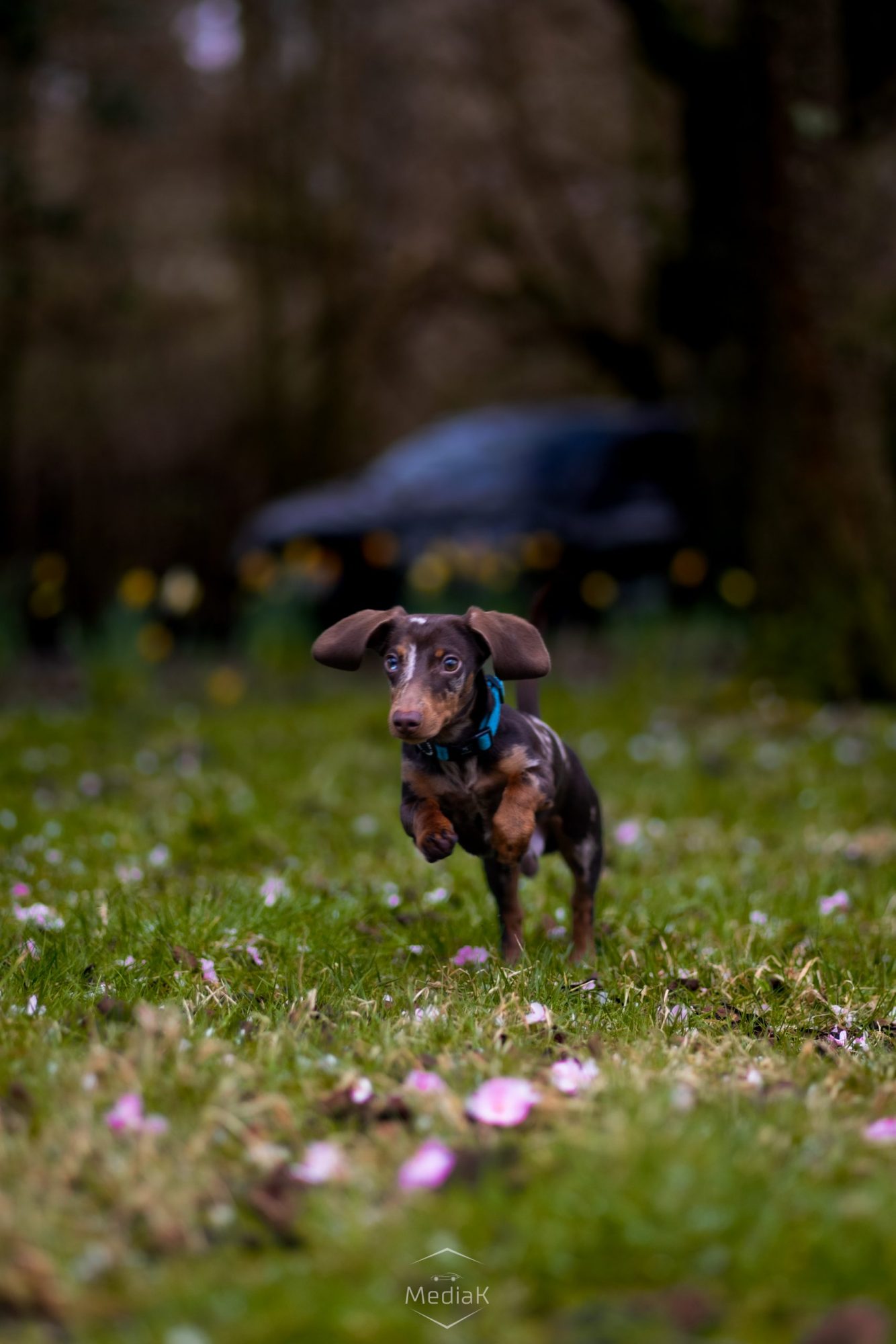 Photo 17-03-2024, 16 02 11